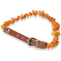 Amber collar with leather